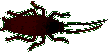 isectos20.gif