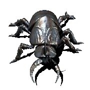 isectos22.gif