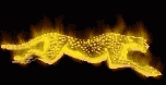 jaguar05.gif