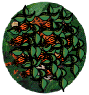 jaguar08.gif