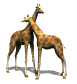 jirafa09.gif