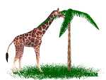 jirafa34.gif