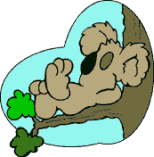 koala03.gif