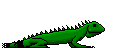 lagarto01.gif