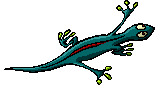 lagarto03.gif