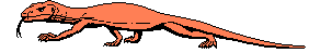 lagarto09.gif