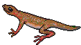 lagarto11.gif