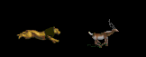 leon20.gif