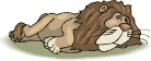 leon32.gif