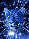 leopardo04.gif