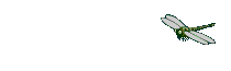 libelulas01.gif