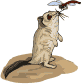 liron00.gif