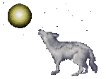 lobo10.gif