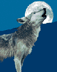 lobo11.gif