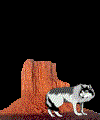 lobo18.gif