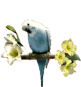 loro41.gif
