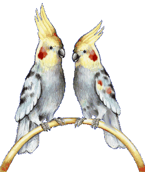 loro42.gif