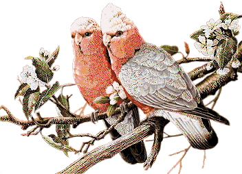 loro44.gif