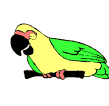 loros02.gif