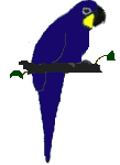loros06.gif