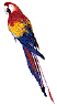 loros08.gif