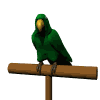 loros16.gif