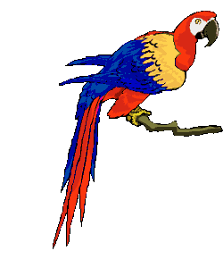 loros34.gif