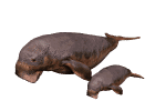 manati03.gif