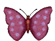 mariposa05.gif