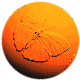 mariposa07.gif