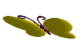 mariposa10.gif