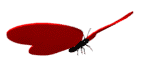 mariposa100.gif