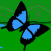 mariposa101.gif