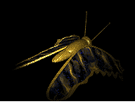 mariposa108.gif