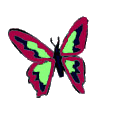 mariposa110.gif
