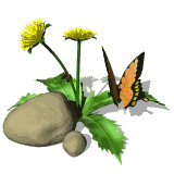 mariposa112.gif