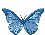 mariposa114.gif