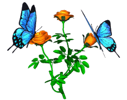 mariposa118.gif