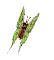 mariposa14.gif