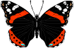 mariposa29.gif