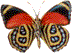 mariposa30.gif