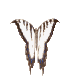 mariposa31.gif