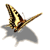 mariposa34.gif