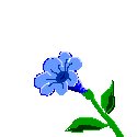 mariposa37.gif