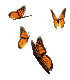 mariposa41.gif
