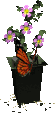 mariposa43.gif