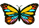 mariposa50.gif