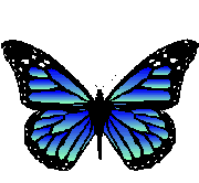 mariposa75.gif