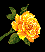 mariposa83.gif