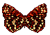 mariposa88.gif